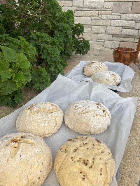 Sourdough Bread Baking Class - Olive Oil Tasting - Practical Details and What You Need to Know