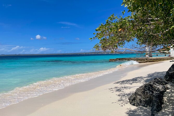 South Bonaire Private Island Tour - Highlights of the Tour