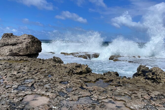 South Bonaire Private Island Tour - Customer Reviews and Ratings