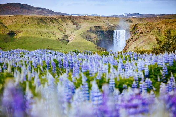 South Coast Classic Day Trip From Reykjavik With Guide and Touchscreen Audio - Transportation Options
