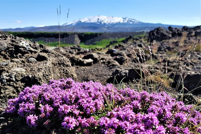 South Coast Private Day Tour - up to 9 passengers - FAQ