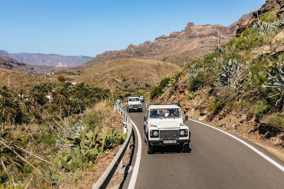 South Gran Canaria: Off-Road Valleys & Villages Jeep Tour - Unique Landscapes