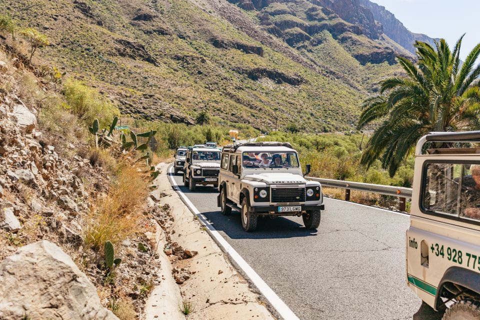 South Gran Canaria: Off-Road Valleys & Villages Jeep Tour - Things To Know
