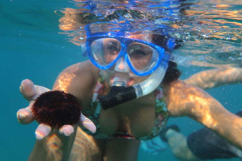 South Maui: Premium Turtle Town Kayak and Snorkel Tour - Inclusions and Requirements