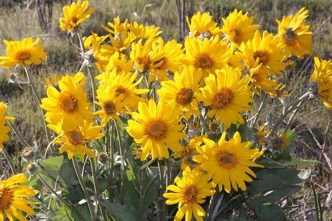 South Okanagan Desert Tour - Confirmation and Cancellation