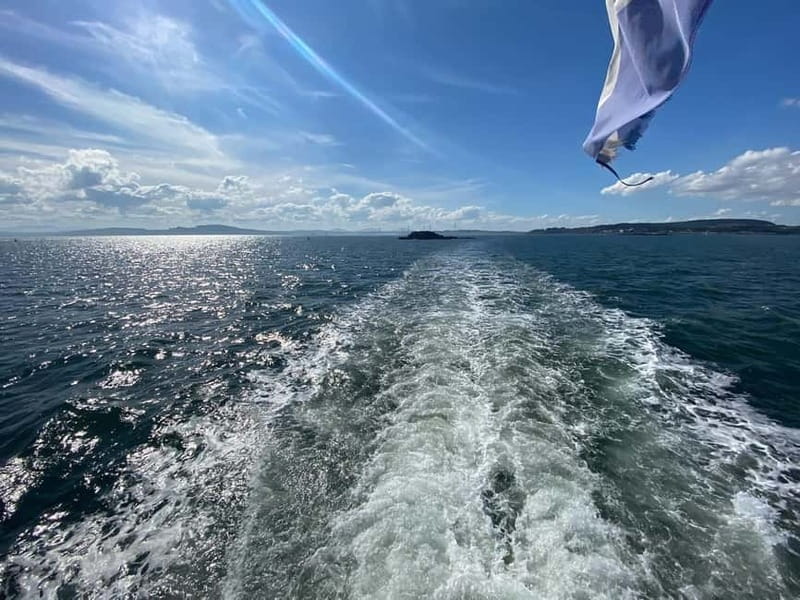 South Queensferry: Birdwatching Cruise with RSPB Guide - Final Thoughts: Who Should Consider This?