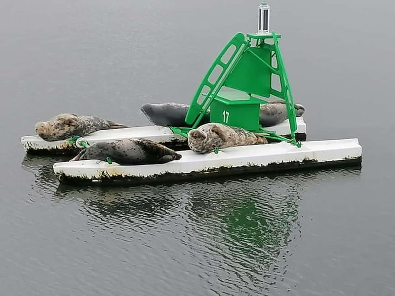 South Queensferry: Birdwatching Cruise with RSPB Guide - FAQ