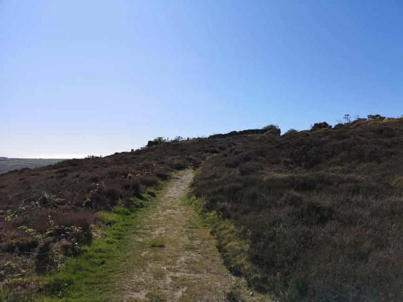 South Stack: Coastal Walking Tour with Café & History - Exploring South Stack: A Coastal Walk with History and Birds