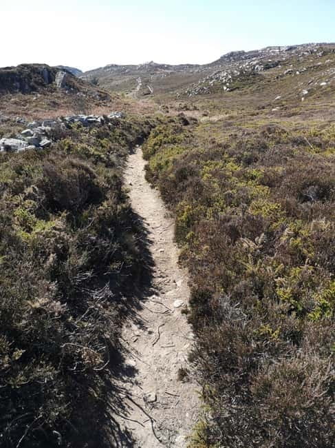 South Stack: Coastal Walking Tour with Café & History - Key Points / Takeaways