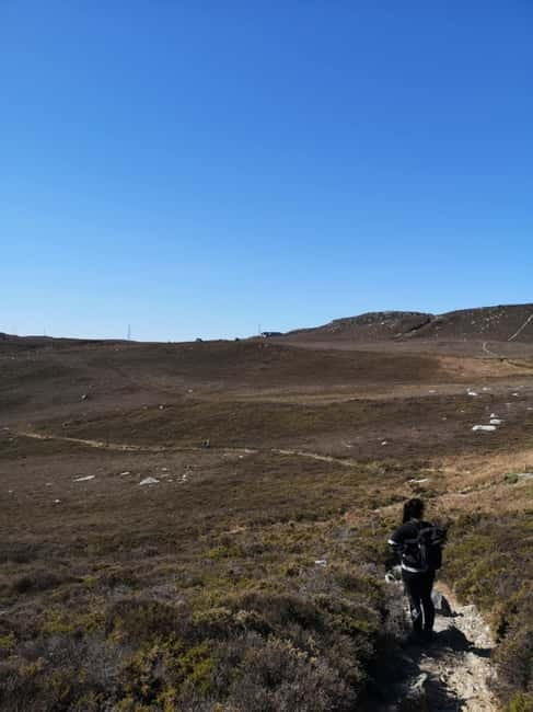 South Stack: Coastal Walking Tour with Café & History - Final Thoughts