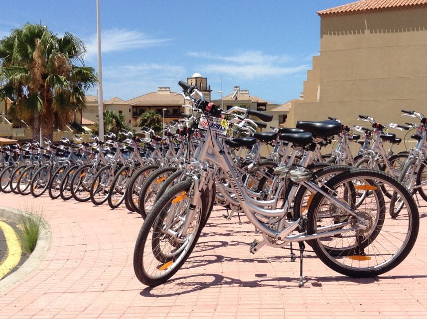 South Tenerife: Bike Rental With Hotel Delivery - Key Points
