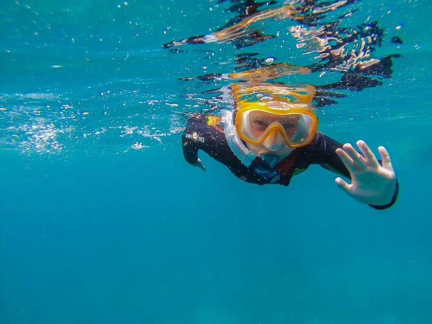 South Tenerife: Guided Snorkeling - Duration and Pricing Details