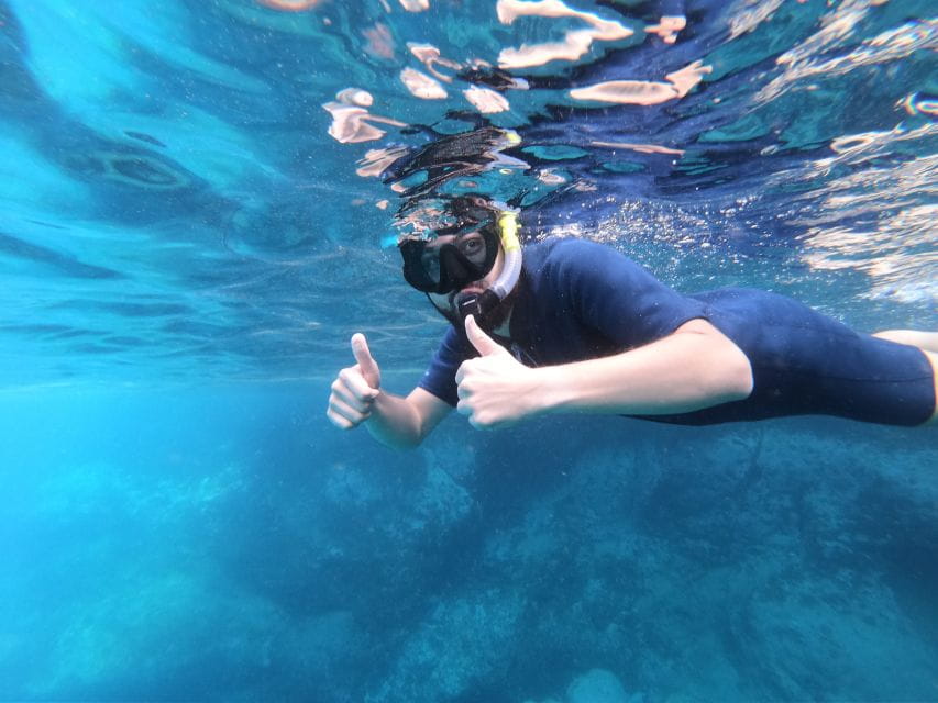 South Tenerife: Guided Snorkeling - Booking Information and Policies