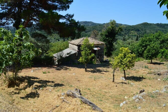 South to Northwest Corfu 4x4: Coastal Dreams & Village Charms - Price and Value Consideration