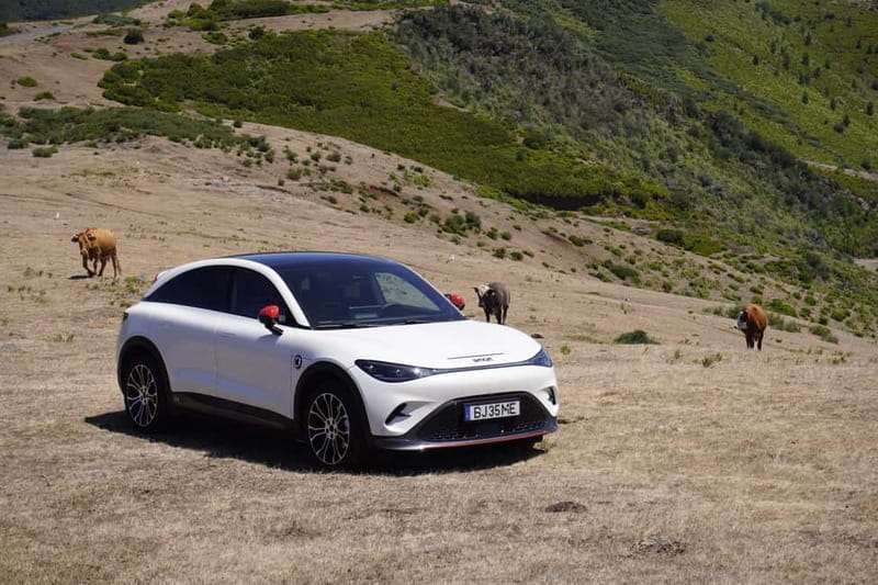 South-West Madeira: Jardim do Mar, Paul do Mar, Ponta do Sol - Who Should Consider This Tour?