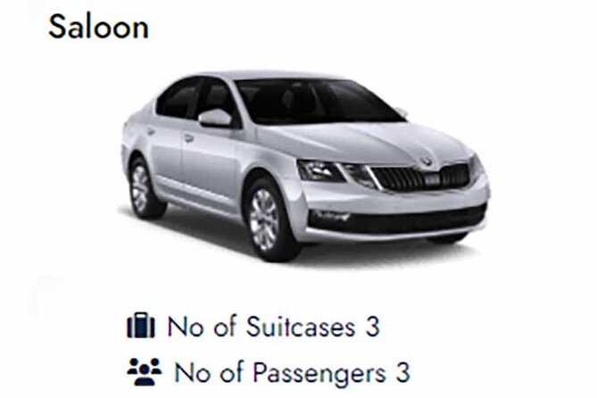 Southampton Cruise Port to Heathrow Airport Private Transfer - Transport Vehicle Details