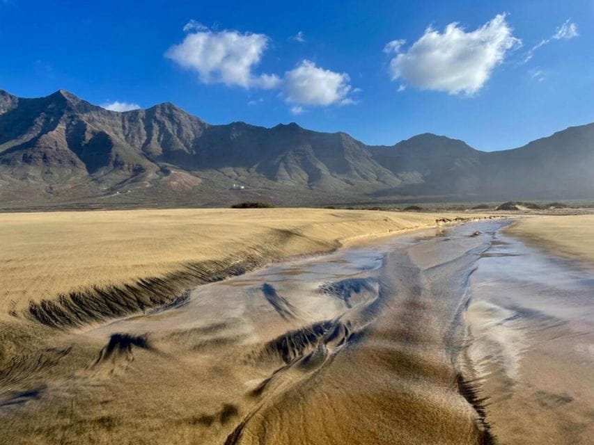 Southern Fuerteventura: Cofete Beach and Desert Safari - Things To Know