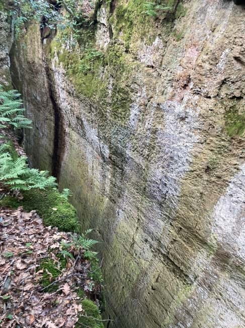 Sovana: Vie Cave & Etruscan Culture Hiking Tour with Tasting - Key Points / Takeaways