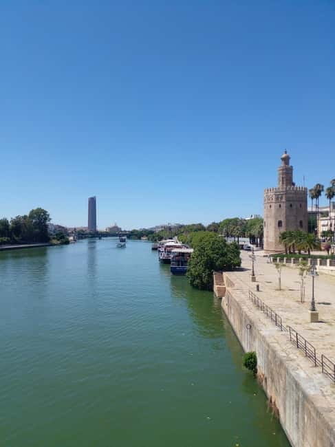 Spain Top Tour (Barcelona, Madrid, Valencia, Malaga,Sevilla) - Why You Might Love This Tour