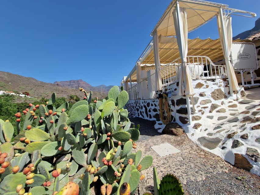 Spanish Cured Meats & Wine Tasting Tour in Mogan - Key Points