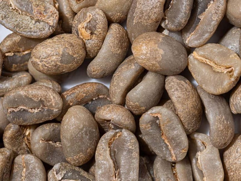 Specialty Coffee Workshop & Tasting Experience in Rome - Who Will Love This Experience?