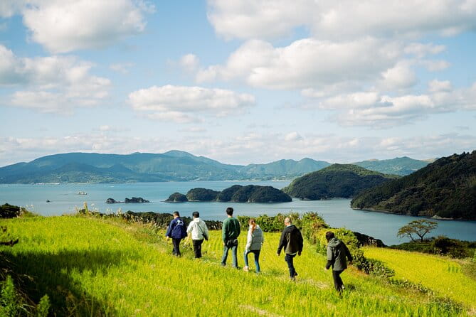Spectacular Terraced Rice Field Walking Experience - Key Points