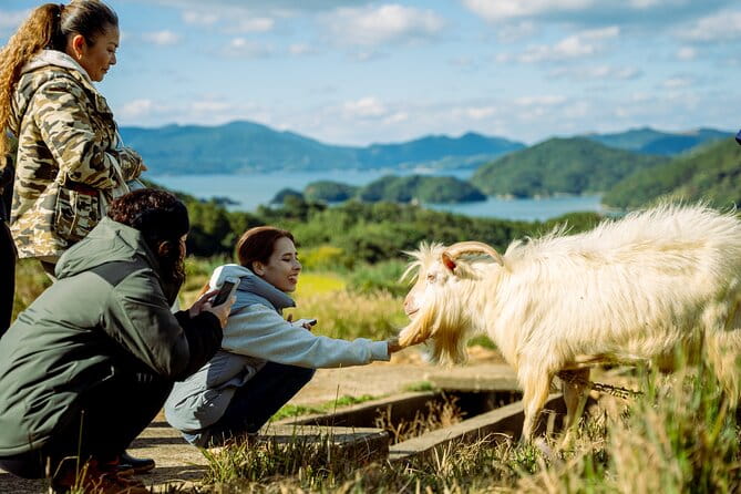 Spectacular Terraced Rice Field Walking Experience - Whats Included in the Tour