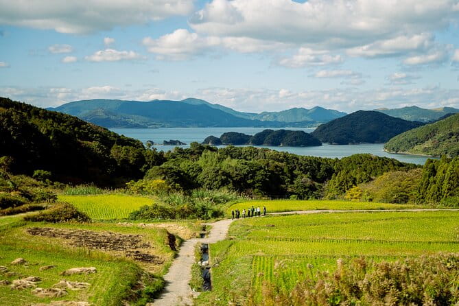 Spectacular Terraced Rice Field Walking Experience - The Journey Through the Rice Fields