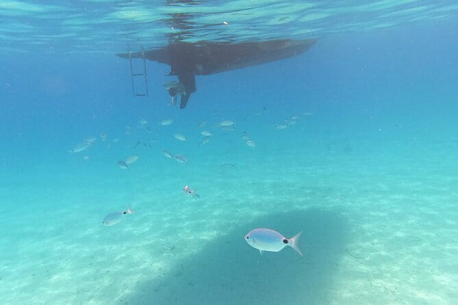 Speedboat Beach escape to Zadar Islands - Why This Speedboat Tour Is a Smart Choice for Zadar Visitors