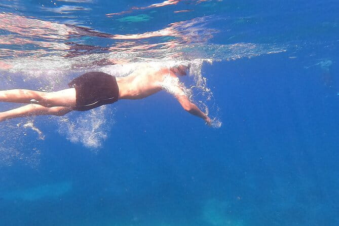 Speedboat Beach escape to Zadar Islands - Who Should Consider This Tour