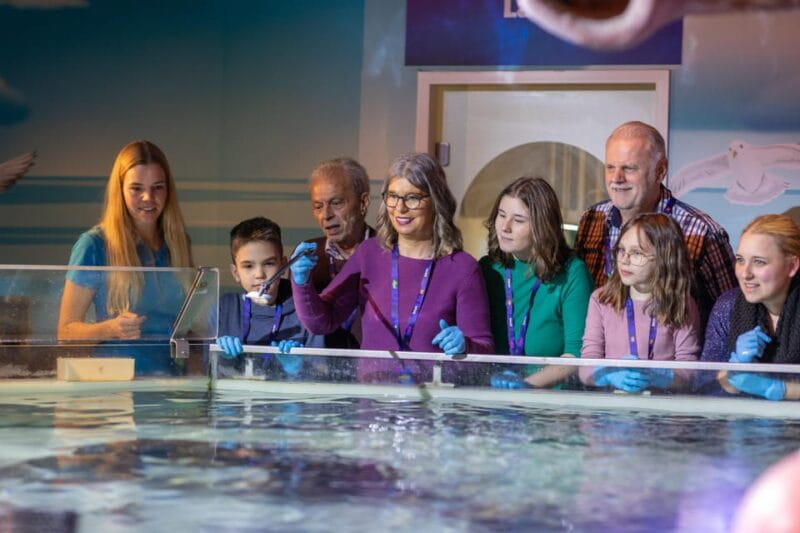 Speyer: SEA LIFE Behind the Scenes Tour - Key points / Takeaways