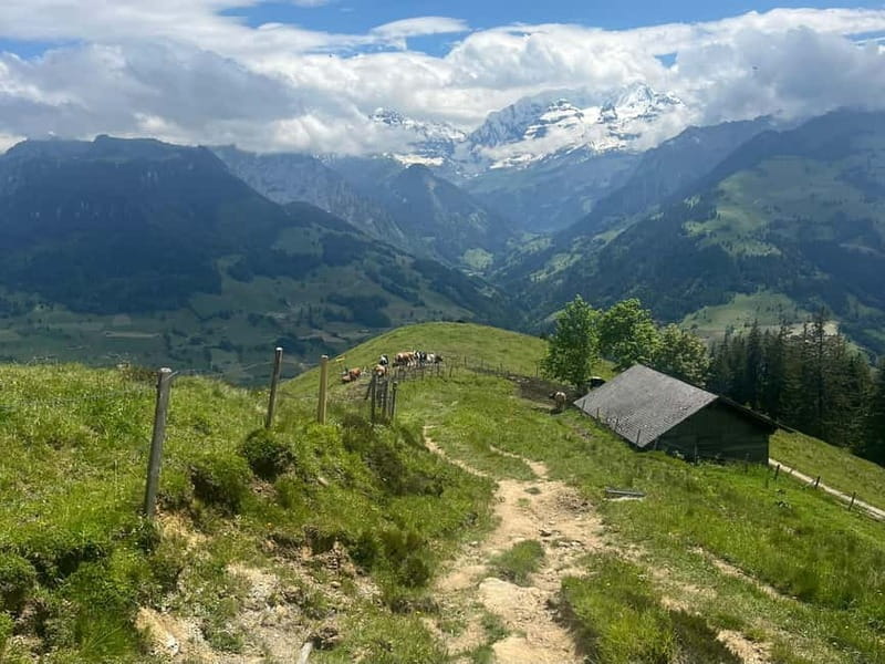 Spiez: Summit Mt. Niesen with a Swiss Triathlete - Exploring the Details: A Walk Through the Adventure
