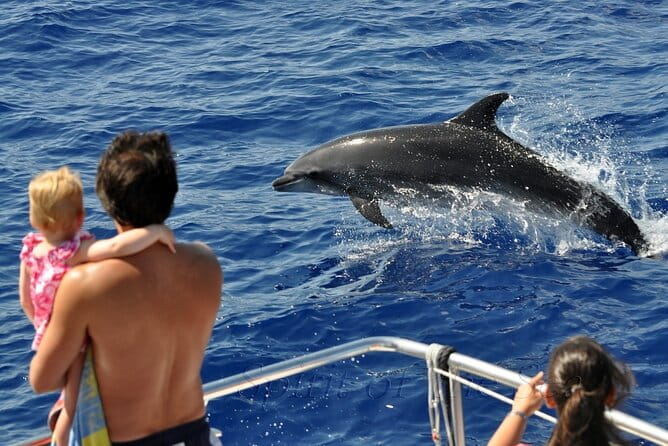 Spirit of the Sea: Cetacean sighting in Gran Canaria - Final Thoughts: Why Choose Spirit of the Sea?