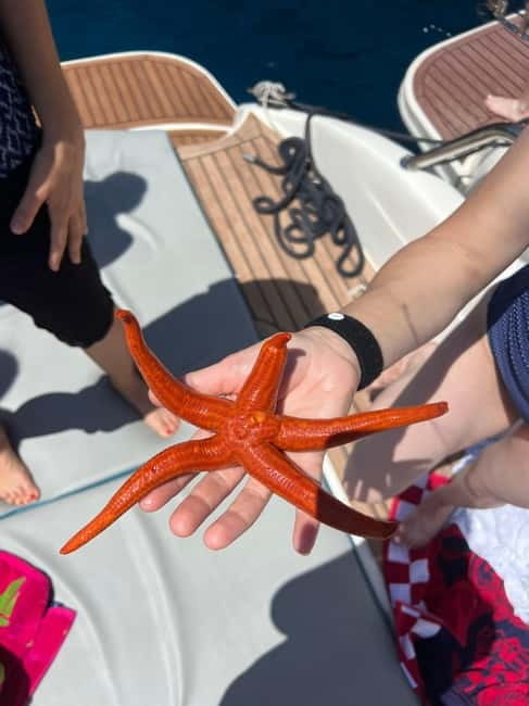 Split: 5 Islands Full-Day Tour to Blue Cave, Vis & Hvar - Key points / Takeaways