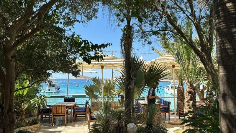 Split: Blue Lagoon, Hvar and 5 Islands Small Group Boat Tour - Maslinica: Authentic Island Charm