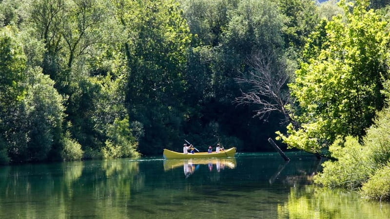 Split: Cetina River Rafting Tour with Instructor - Price, Logistics, and Overall Value