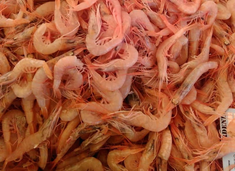 Split: Food Tasting Walking Tour - Who Will Love This Tour?