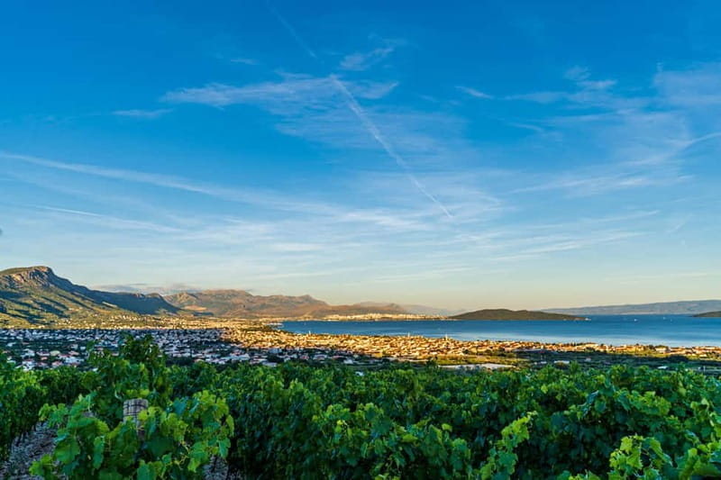 Split/Grad Katela: Vineyard Hen Party Dinner with Transfers - Key Points / Takeaways