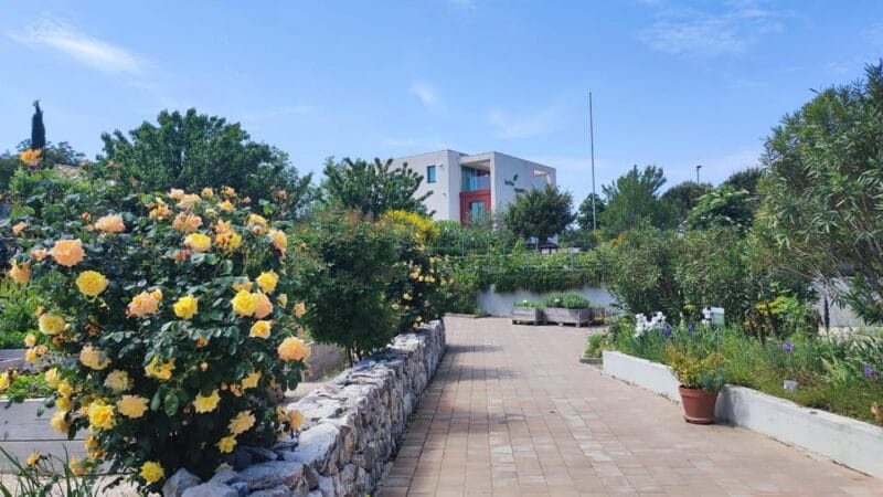 Split: Historical Tour of Salona, Klis Fortress and Trogir - Who Will Love This Tour?