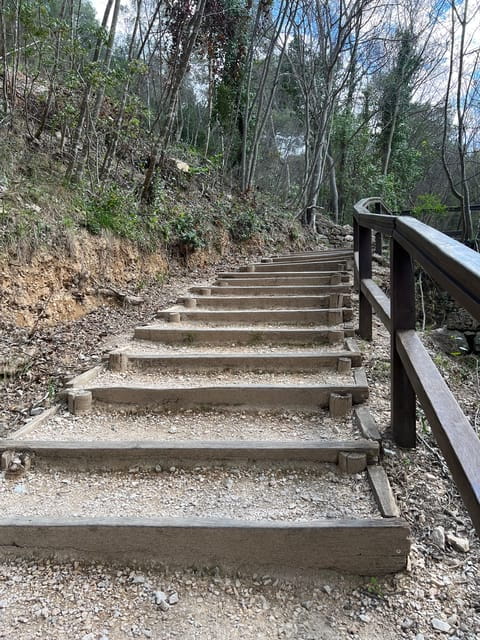 Split: Krka Tours with tour guide, boat ride and swim stop - Detailed Breakdown of the Itinerary