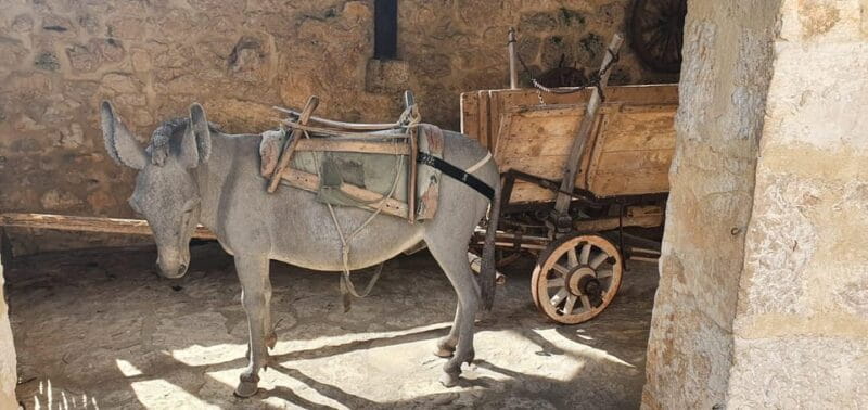 Split: Krka Waterfalls & ibenik Heritage Private Tour - Navigating the Details: Price, Timing, and Who It’s For