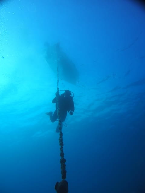 Split-Makarska-Brela Try SCUBA Dive - The Experience: What You Can Expect from Start to Finish