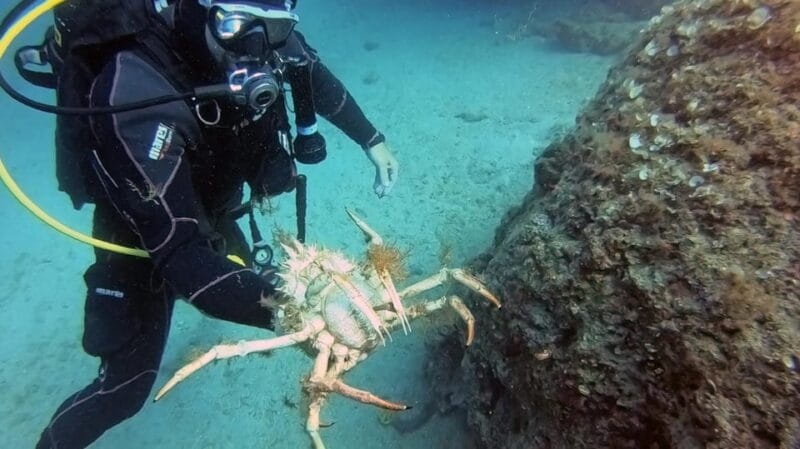 Split-Makarska-Brela Try SCUBA Dive - Price and Logistics: Is it Worth It?