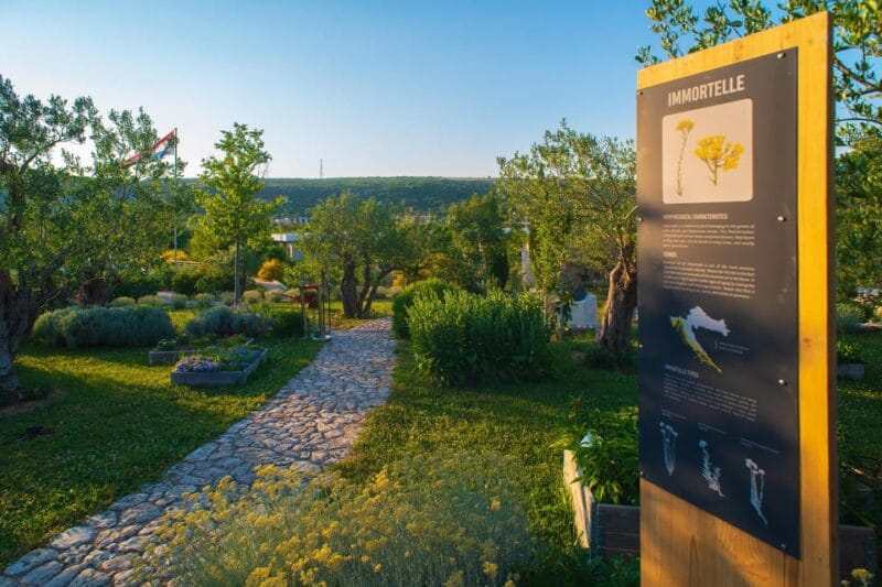 Split: Olive museum Klis with Olive Oil Tasting - Discover the Olive Heritage of Croatia at Stella Croatica in Klis