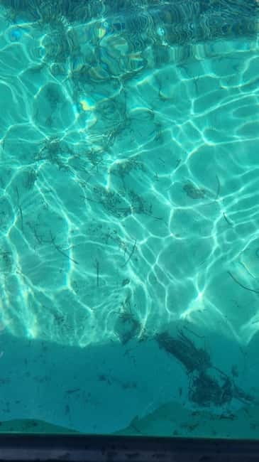 Split: Private Blue Lagoon & olta Shipwreck Tour - FAQ