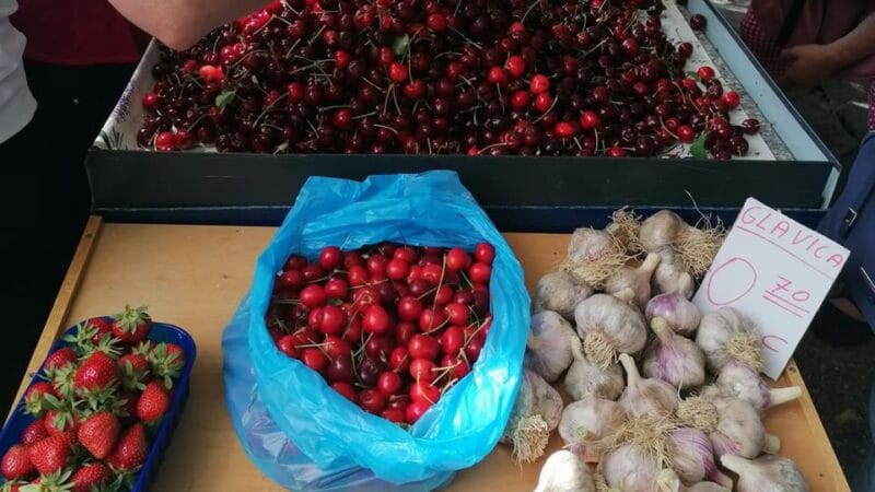 Split; Private Morning Walking Tour in Split - Who Will Love This Tour?