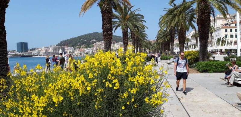 SPLIT:PRIVATE Emperor's Walk for History Lovers+Museum - Final Thoughts: Is This Tour Right for You?