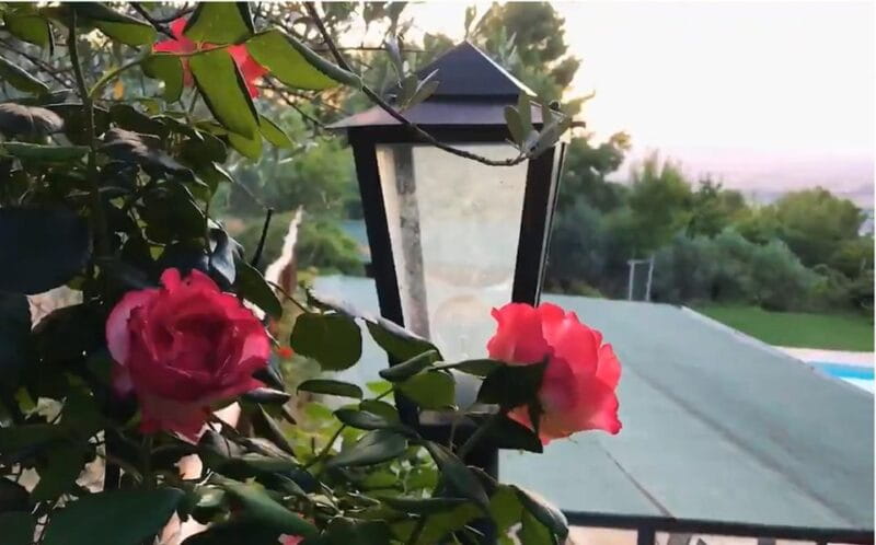 Spoleto Countryside Home Cooking Pasta Class & Meal - Mastering Umbrian Pasta in the Heart of Spoleto