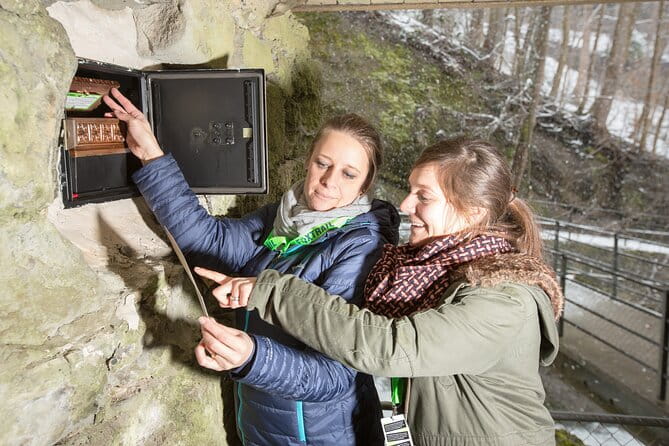 St. Gallen Foxtrail Columban - In-Depth Review of Foxtrail Columban in St. Gallen