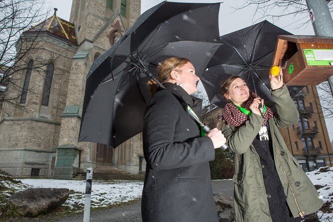 St. Gallen Foxtrail Gallus - Introducing the St. Gallen Foxtrail Gallus